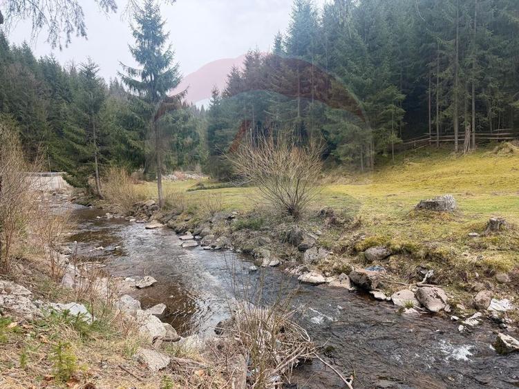 Teren intravilan 4331mp | Arieșeni | Oportunitate de Investiție