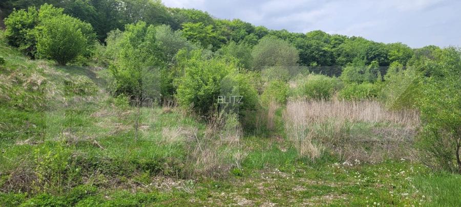 Investitie! Teren intravilan, 1252mp, Feleacu/Wonderland - 4
