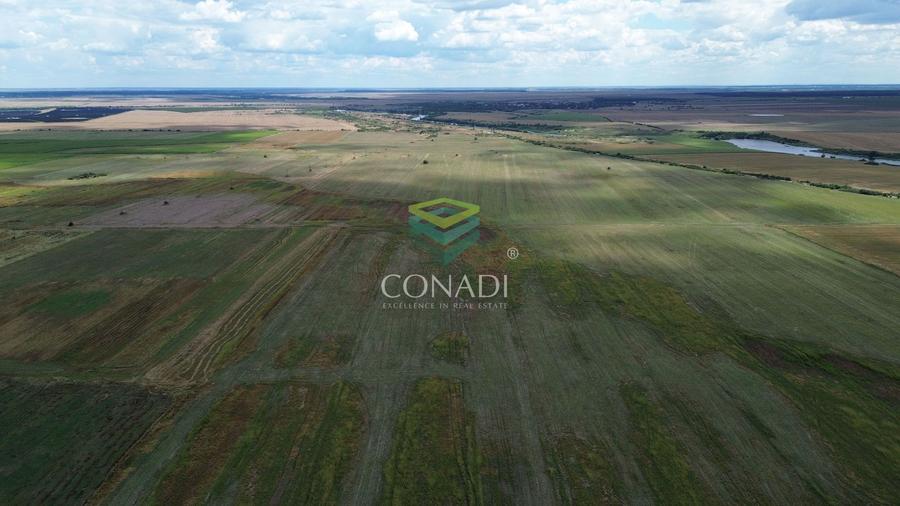 Teren Intravilan - Giurgiu || Comuna Bulbucata - 15,4 Ha