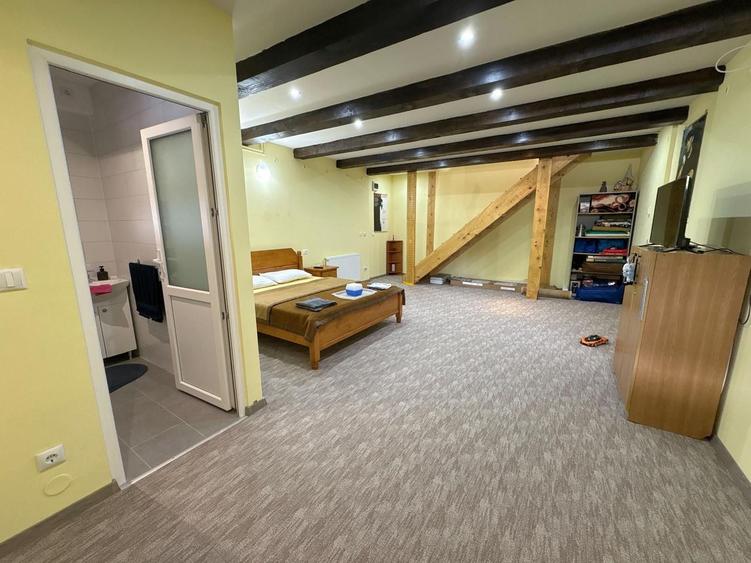 Casă de vanzare 6 camere 220 m² utili cu 376 M² teren la șosea