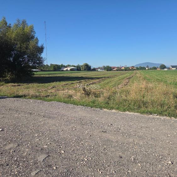 Teren Bod Colonie,strada Lalelelor - 5