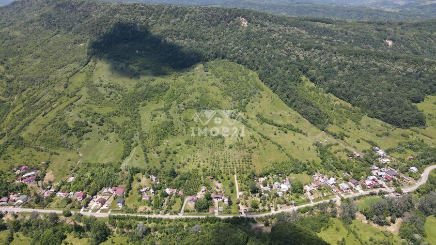 Teren spectaculos cu padure, livada si priveliste panoramica in Soimari PH