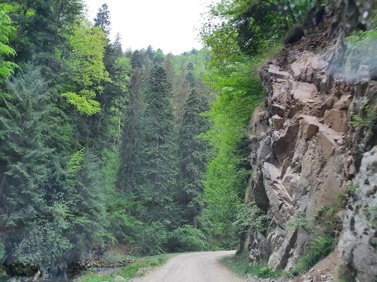 Teren de vanzare la munte pentru  cabana