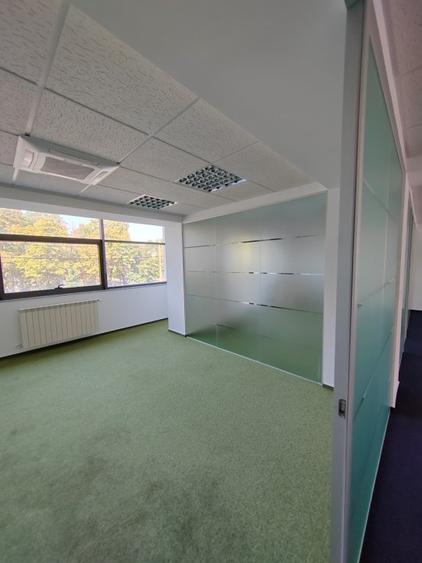 Piata Iancului Office Space