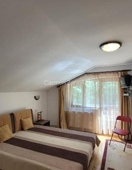 Casa de vacanță Râu Mare Retezat - 4