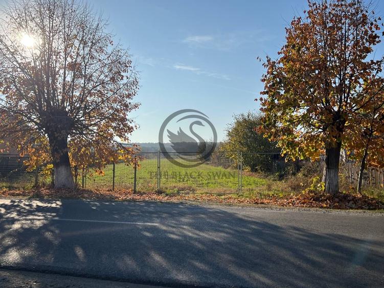 Teren intravilan de vanzare | 12.650 mp | Ghirdoveni | Comision 0%