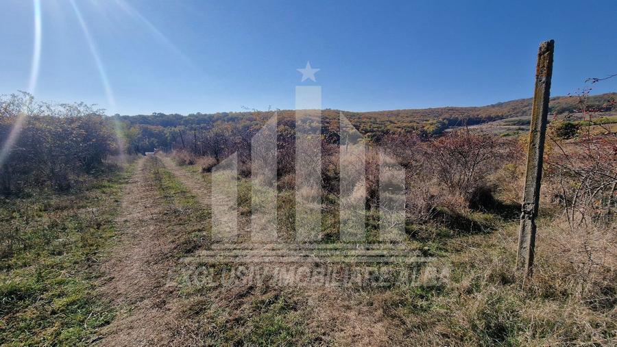Teren intravilan | De vanzare | 3900 mp | 17 ml deschidere | Cetate