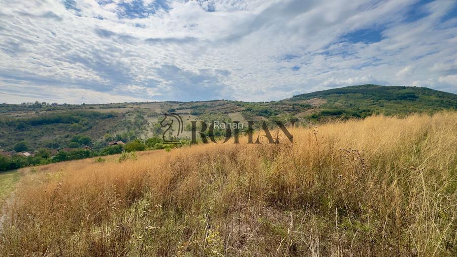 Teren 4.000 mp | Front Generos 47 ml | Utilități | La Asfalt | Cricău - 7