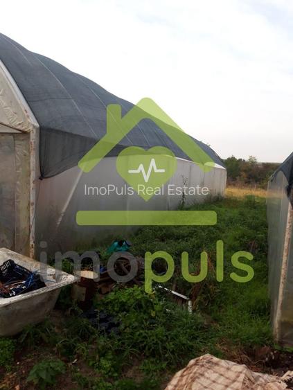🗺️ Teren intravilan in Jupani (Timis), 10,19 Euro/mp.✨ - 3