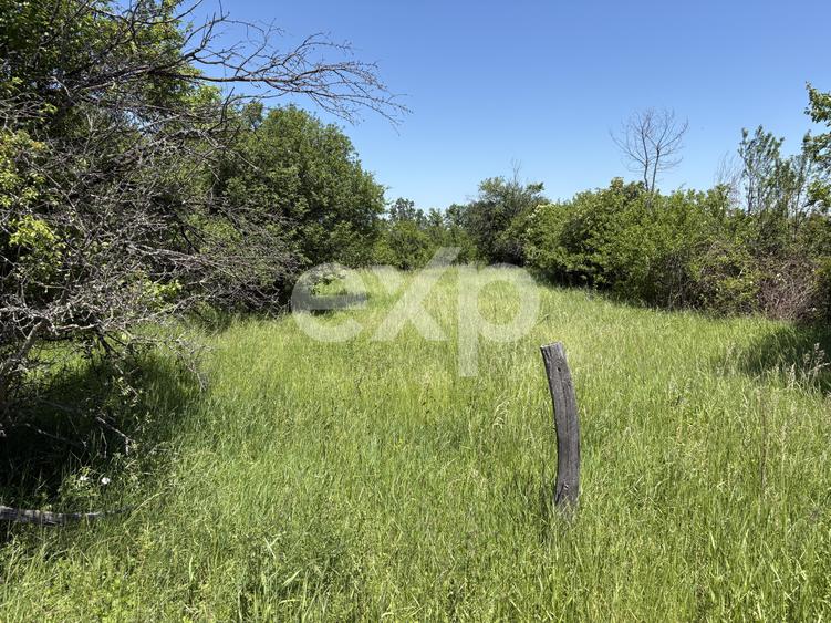 Teren 2.200 mp lângă pădure, la 11 km de Pitești – ideal pentru casă și relaxare