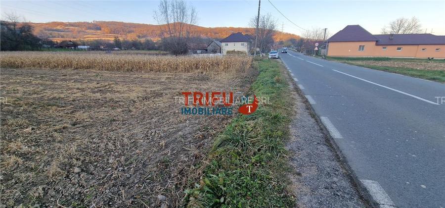 Teren Intravilan în Ampoița 1000mp - 5