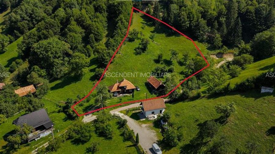 FILM! Proprietate autentica, Bran-Simon, 4.300 mp teren, casa traditionala + ane - 56