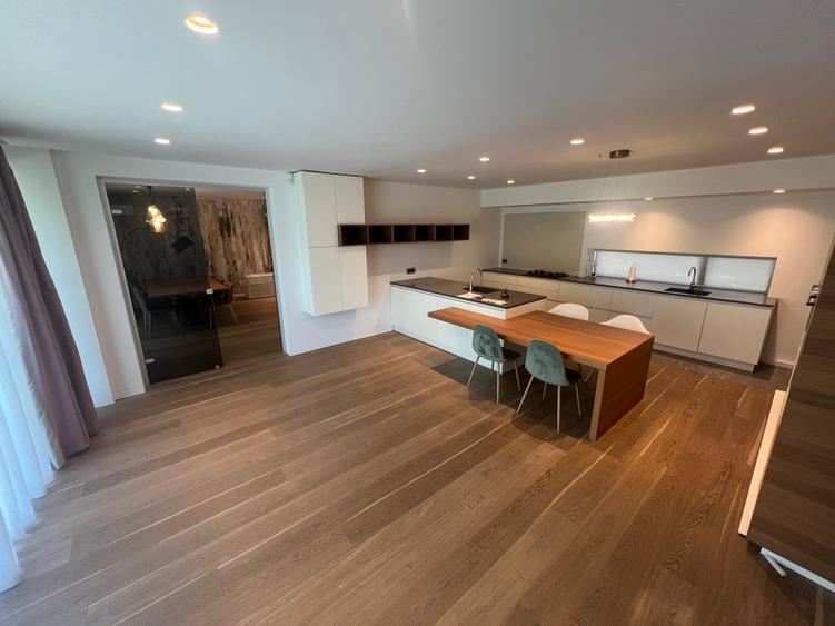 Inchiriere Vila Ultramoderna Iancu Nicolae / Modern Villa for Rent Iancu Nicolae