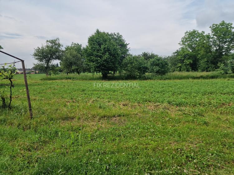 Casa la 5 km de Targu-Neamt - cu iaz si livada matura - gata pentru mutat - 7