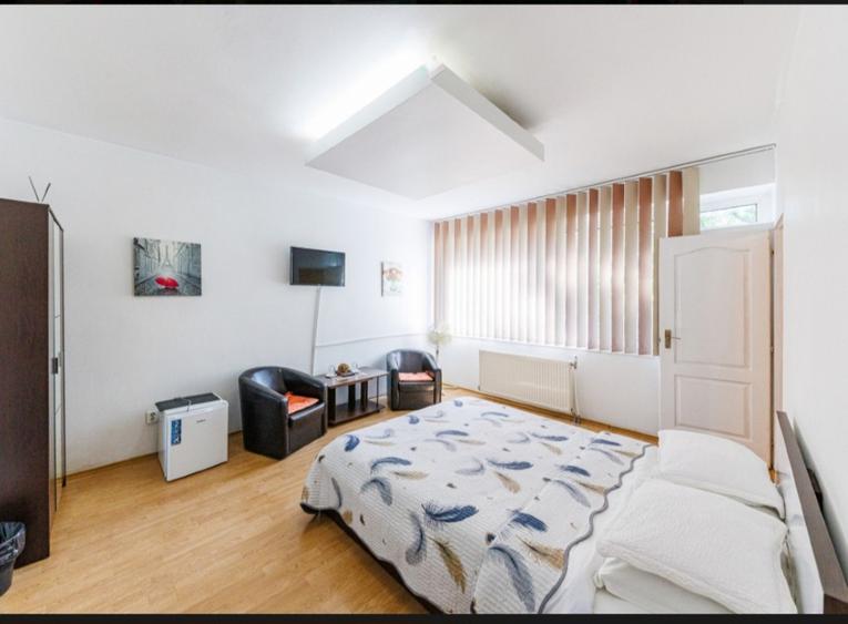 Pensiune/cabinet medical/locuit cu Piscină de Inchiriat în Timișoara