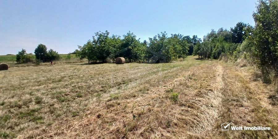 Casa in Comsesti cu teren intravilan 1800mp, acces bun