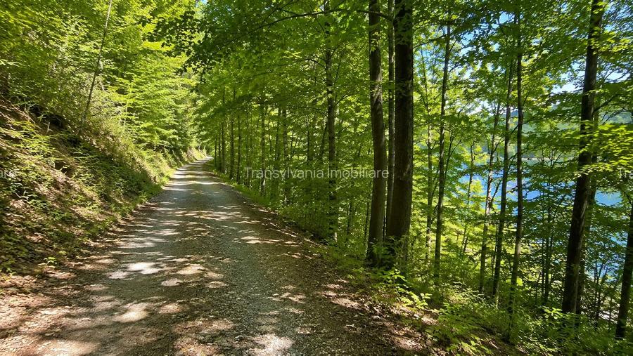 Teren intravilan cu acces la Lacul Tarnița – Somesu Cald - 3