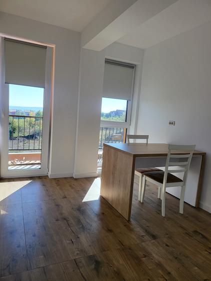Apartament 1 camera decomandat 45 mp Valea Lupului Str Soarelui 156398