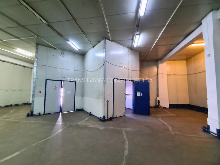 Depozit de închiriat în Someșeni – 498 mp - 4
