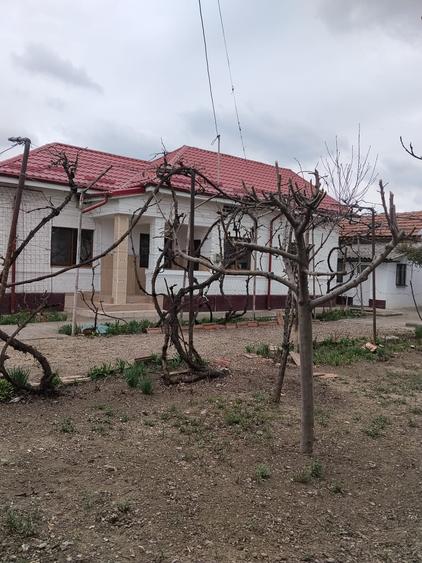 ##Casa in Comuna Maracineni -Vanzare