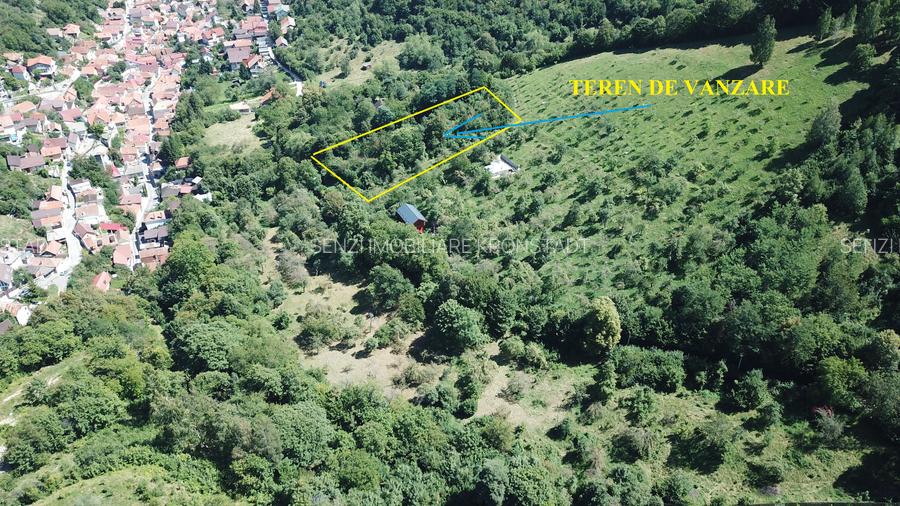 Teren in Scheii Brasovului inconjurat de natura - 8