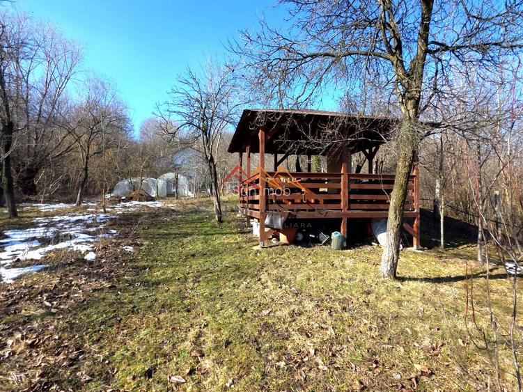 CASĂ INDIVIDUALĂ CU LIVADĂ | 2.195 MP TEREN | POIANA CÂMPINA - 32
