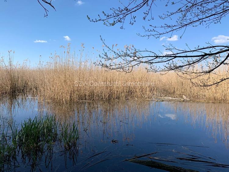 Teren 2000 mp de vânzare – Comana, deschidere la lac, aproape de Parcu - 13
