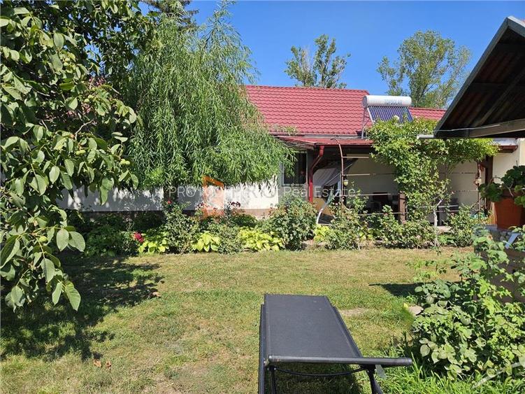 Casa tip parter + beci si teren in Candesti, Vernesti - 21