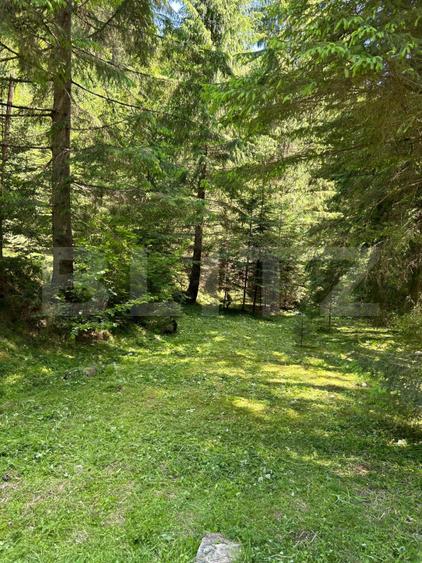 Cabană cu 4 camere, zona Șugag - Tău – Bistra