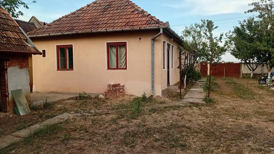 Vanzare Casa in localitatea Bodrogu Nou