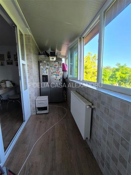 Vila  de vanzare  Lunca Cetatuii, - 7