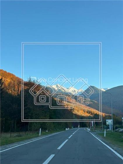 Casa de vacanta in Cartisoara, Transfagarasan - teren 971 mp, 8 camere - 3