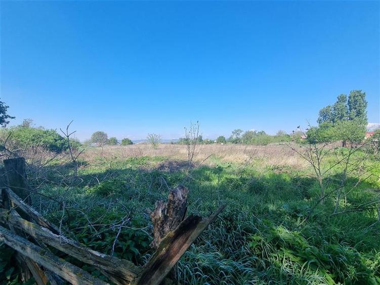 Teren intravilan de vanzare 14900 mp, 43m deschidere Mureseni, Mures