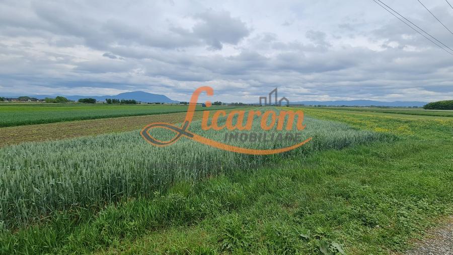 Teren intravilan Stupini front la Calea Feldioarei, DN 13