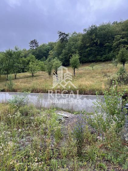 Proprietate cu potențial, într-un cadru natural de vis – 3581 mp teren