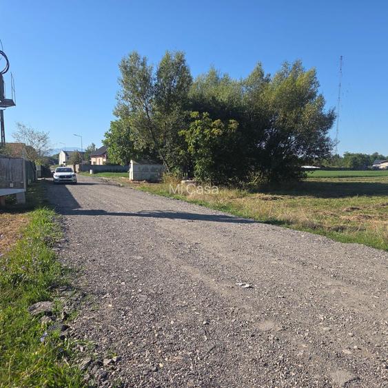 Teren Bod Colonie,strada Lalelelor - 6