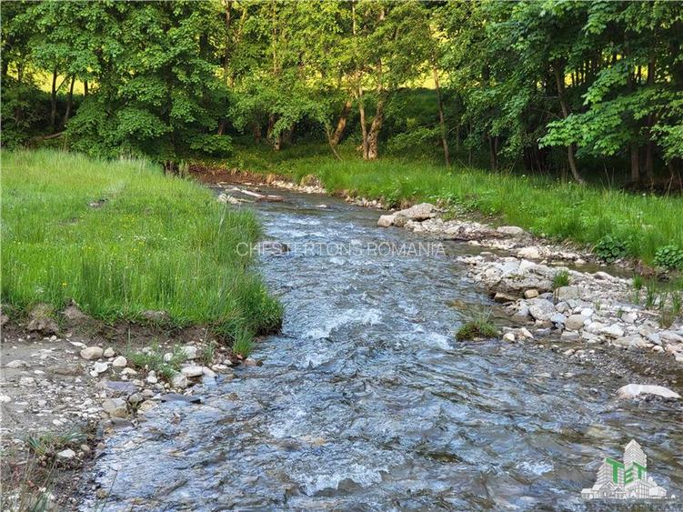 Teren Intravilan 12000 mp, Cascada Urlatoarea- Vama Buzaului, proiect aprobat pe - 8