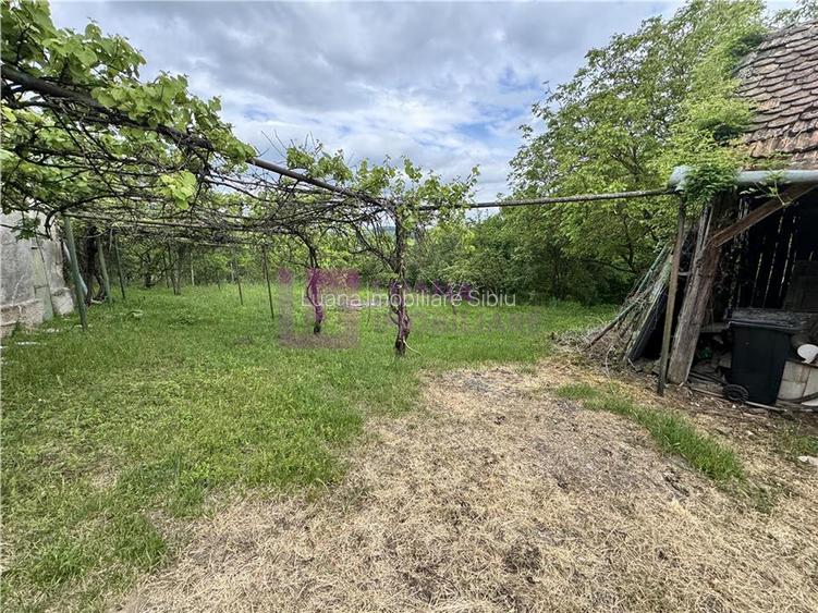 Casa individuala de vanzare in Nucet | Rosia | teren 1526 mp | livada, pivnita - 2