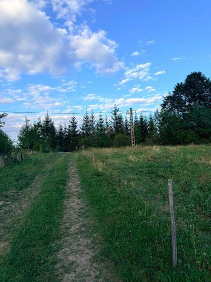 🏔️ TEREN INTRAVILAN DE VÂNZARE – BRAN | 9.085 MP | PRIVELIȘTE PANORAMICĂ | UTIL