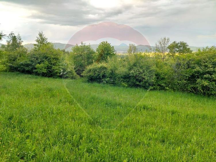 Teren Bran-Zarnesti - Tohanita, 4223mp