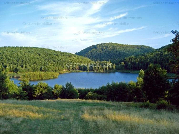 RATE Pensiune 12 cam Superba*** malul Lac Mocearu piscina ,16277mp - 26