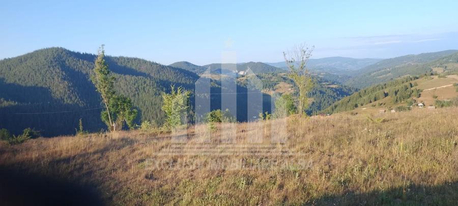 Teren intravilan | 3565 mp | Ideal constructie cabane | Garda de Sus