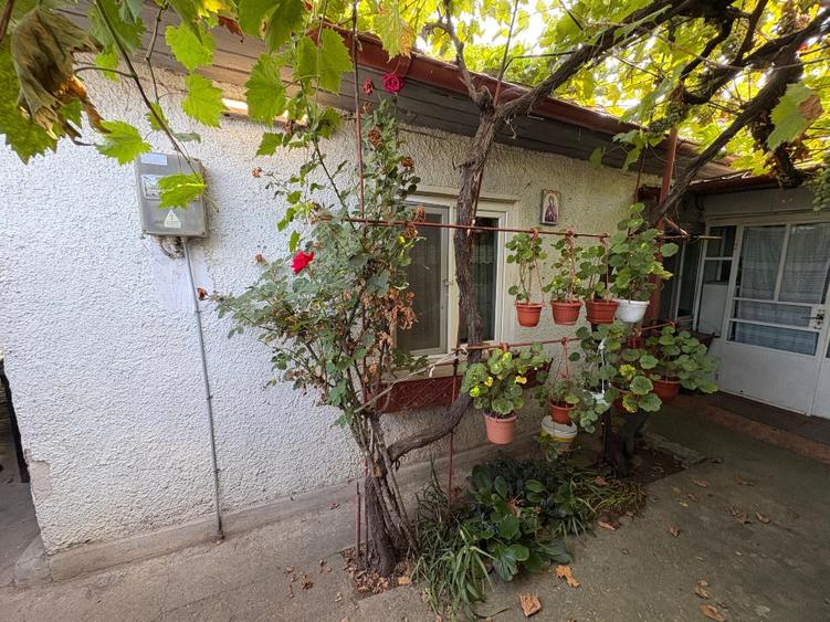 Vând teren și casă Palazu-Mare