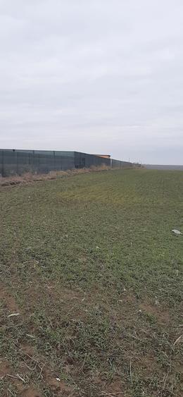 Teren intravilan in Lazu