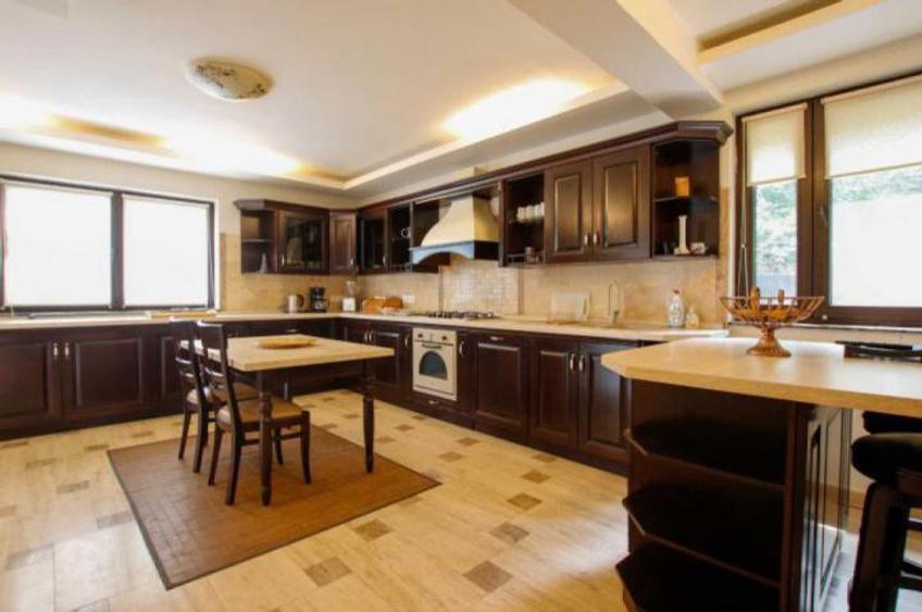 Vila superba in Snagov langa padure