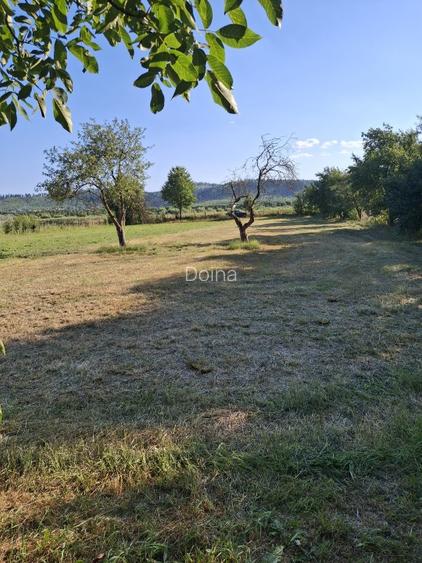 De vânzare: Casă bătrânească locuibilă imediat + 2200 mp teren  - 3