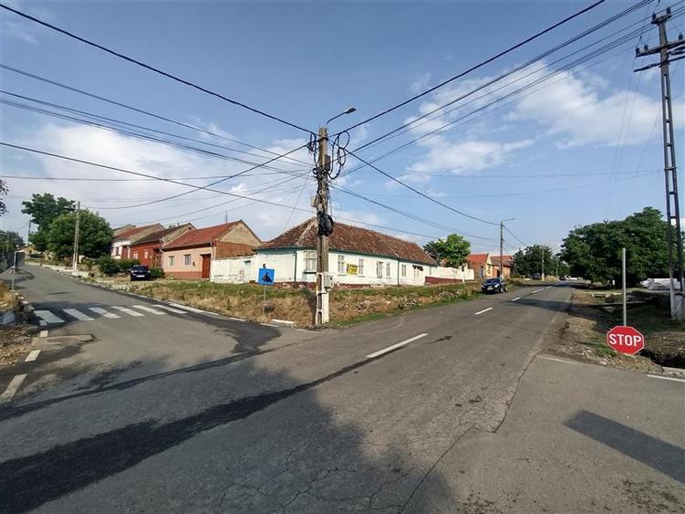 Socol | Casa 7 Camere | Parter + Pod | 546MP Teren