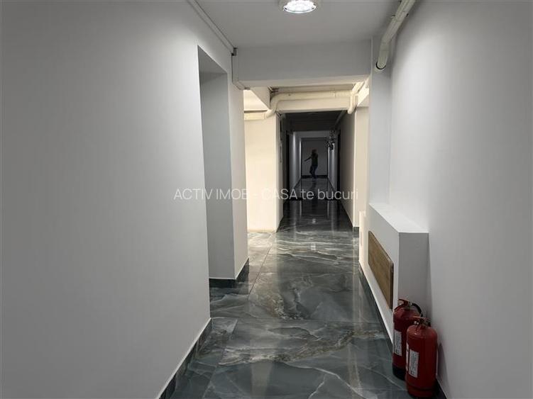 2 Camere dec Theodor Pallady