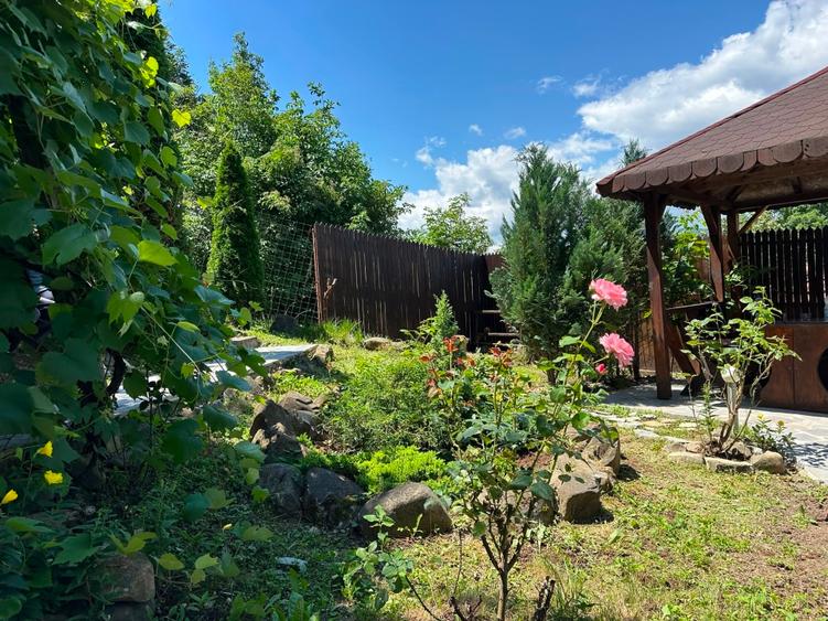 Casa vânzare comuna Bozioru munții Buzăului