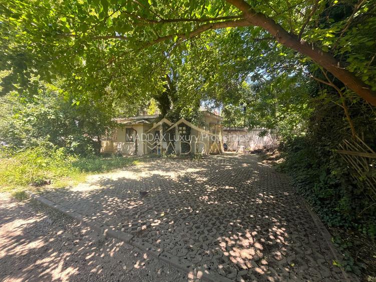 Apt. parter Piața Romană | 5 camere | Curte | 8 Locuri de Parcare - 25